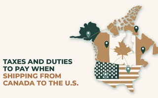 Taxes and Duties for Importing and Exporting to US Explained