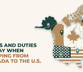 Taxes and Duties for Importing and Exporting to US Explained