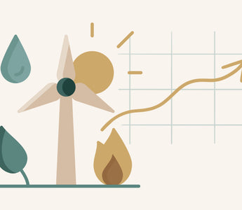 sustainability in business