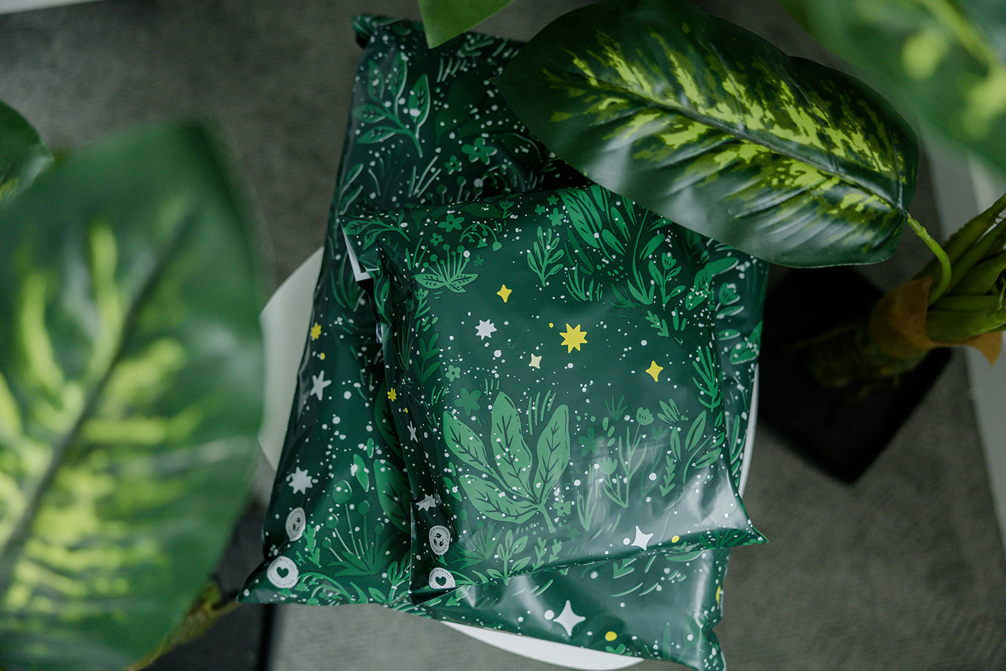A green Midnight Lush Mailers 10" x 13" with a plant on top of it from impack.co.
